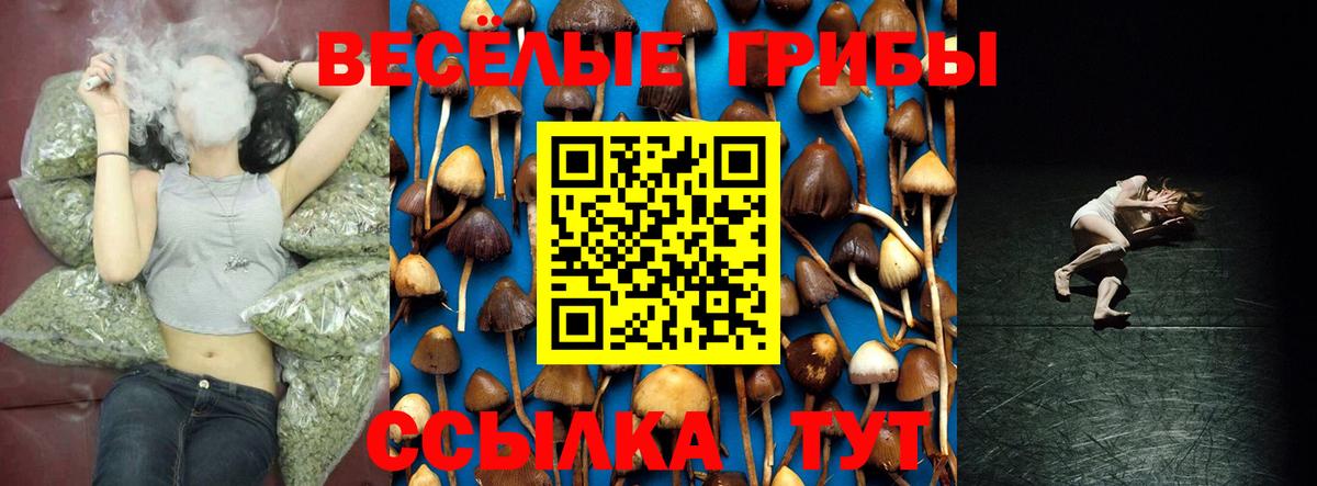 Пыть-Ях  Псилоцибиновые грибы Cubensis  Вход с VPN  Псилоцибиновые грибы Cubensis 